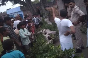 बहराइच में दर्दनाक हादसा: पेड़ से टूटकर गिरी डाल, दादी-पोते की मौत