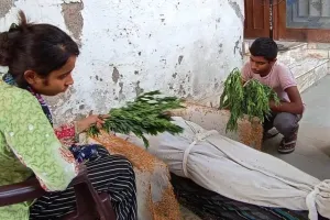 हल्द्वानी: सुहागन होकर भी विधवा रही..पति ने मौत पर भी मुखाग्नि न दी