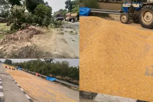 बहराइच: आंधी और पानी में गिर गए पेड़, कई क्विंटल मक्का भीगा