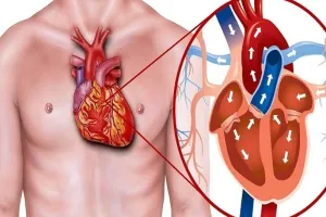 शरीर को स्वस्थ रखने के लिए Cholesterol को करें कंट्रोल, जानें लक्षण और कारण