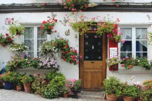 घर में लगाये Magical Flowers, रिश्तों में आएगी नजदीकियां, जानें इन फूलों के नाम