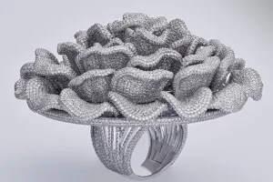 केरल में इस अनोखी अंगूठी ने बनाया गिनीज वर्ल्ड रिकॉर्ड, खासियत जानकर हो जाएंगे हैरान