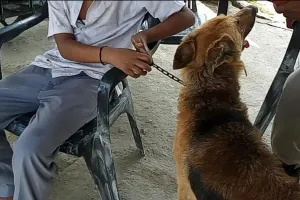 बरेली: पालतू कुत्ते संग बच्चे को सड़क पर रोता बिलखता छोड़ गए मां-बाप, कारण जानकार हो जाएंगे हैरान