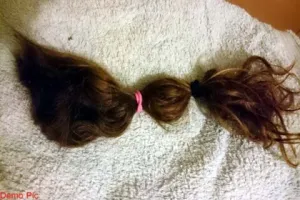 उत्तराखंड: दो दिन में छह युवतियों की चोटी कटने से हड़कंप, सीसीटीवी खंगालने में जुटी पुलिस तो हुआ ये खुलासा