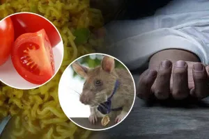 चूहे मारने के लिए टमाटर पर लगाया जहर, खुद मैगी में डालकर खा लिया, हुई मौत