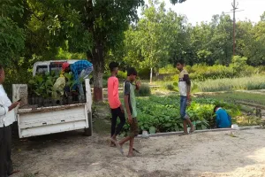 अयोध्या: रोपे जाएंगे 41 लाख पौधे, डिप्टी सीएम करेंगे कार्यक्रम की शुरुआत व पंचवटी की स्थापना