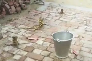 इटावा : हैरतअंगेज तरीके से गायब हुई 90 हजार रुपये कीमत की बकरियां, कार्रवाई में जुटी पुलिस