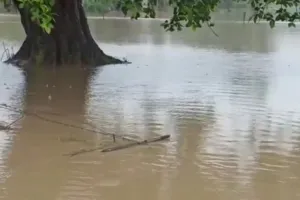 लखीमपुर-खीरी: पहाड़ों पर बारिश, तराई में नदियों ने बढ़ाई आफत
