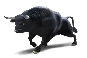 बागेश्वर: सांड ने दुकान की सीढ़ी से व्यापारी को उठाकर बीच सड़क पर पटका, जान बची