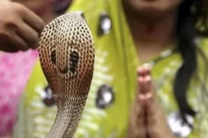 2 अगस्त 2022 को है नागपंचमी, घर के बारह लिखें 1 नाम, कभी प्रवेश नहीं करेंगे सांप!