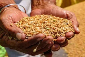 बरेली: दूसरे दिन भी कई जगह नहीं हो पाया राशन का वितरण