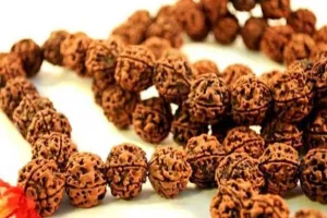 अगर व्यापार में चाहिए तरक्की… तो बुधवार के दिन इस रुद्राक्ष को करें धारण, शिव संग मिलेगी गणपति की कृपा