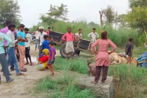बदायूं: करंट की चपेट में आने से फिर हुई बैल की मौत, ग्रामीणों में आक्रोश