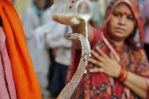 Nag Panchami 2022: 2 अगस्त को नागपंचमी पर्व, राशियों के अनुसार इस मंत्रों से करें नाग देवता की पूजा