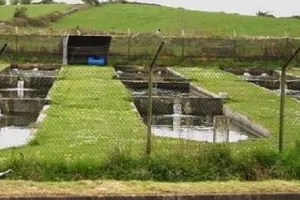 अब खेती-किसानी में इतिहास रचेगा मुरादाबाद मंडल