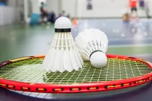 कर्नाटक बैडमिंटन संघ की मान्यता रद करने के BAI के फैसले पर लगाई रोक