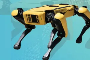 नौ साल पहले कचरे में फेंक दिया था हार्ड डिस्क, सेव थे 1400 करोड़ के बिटक्वाइन, अब ढूंढने के लिए खर्च कर रहे हैं 88 करोड़