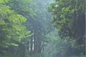 हल्द्वानी: उत्तराखंड में सर्दी की शुरूआत में बारिश हुई कम