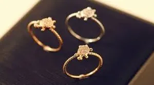 देहरादून: चोरी की अंगूठियों से लिया गोल्ड लोन, चुकता की देनदारी अब जेल में अदा करना होगा ब्याज