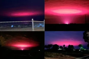 गांजे के खेत की रोशनी से गुलाबी हुआ आसमान, सामने आईं ये तस्वीरें, आपने देखीं ?