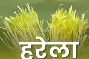 हल्द्वानी: पर्यावरण संरक्षण और प्रेम का प्रतीक हरेला लोक पर्व कल…