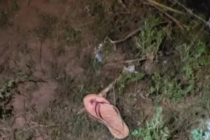 बहराइच : घर के सामने पानी भर रही किशोरी को खींच ले गया जंगली जानवर, तलाश में जुटी पुलिस