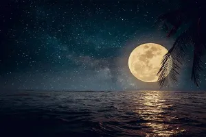 महावटों की एक रात