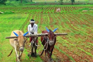 PM Kisan Yojana : जल्द ही मोदी सरकार अन्नदाताओं को देने वाली है ये खुशखबरी
