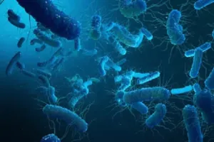 अफगानिस्तान में हैजा से 20 बच्चों की मौत, 120 से अधिक बच्चे संक्रमित