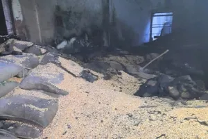 संभल : शार्ट सर्किट से लगी आग में गेहूं और मक्का जली