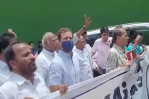 सोनिया गांधी से ईडी की पूछताछ जारी, विजय चौक पर विरोध में कांग्रेस सांसदों का प्रदर्शन, धरने पर बैठे राहुल गांधी