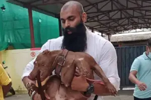 लखनऊ: मालकिन को मारने वाले पिटबुल को नगर निगम ने लौटाया, मेनका गांधी ने किया था फोन