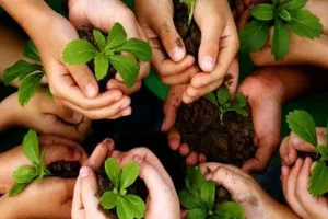 जौनपुर : 11 लाख पौधों से वन महोत्सव की शुरुआत, 53 लाख का होगा रोपण