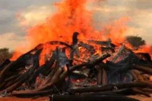 हल्द्वानी: अंतिम समय नहीं मिला अपनों का कंधा, बेगाने ने दी मुखाग्नि