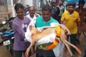 ढोल बजवाकर धूमधाम से निकाली पालतू कुतिया की अंतिम यात्रा, देखें Video