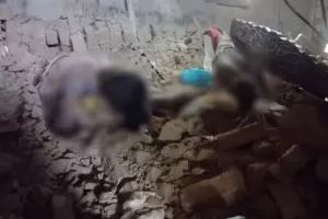 छत्तीसगढ़: घर की दीवार गिरने से एक ही परिवार के पांच लोगों की दर्दनाक मौत