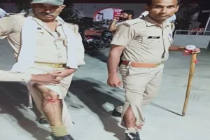 बिजनौर: दो माह की बछिया को उठा ले गया गुलदार, दो होमगार्ड समेत चार घायल