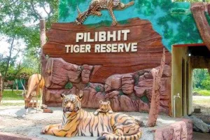 पीलीभीत: टाइगर रिजर्व में बारिश का मजा लेते दिखाई दिए भालू, देखें Video