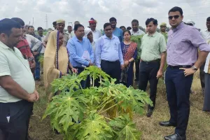 इटावा : उन्नत बागवानी से समूह की महिलाओं को मिलेगा रोजगार