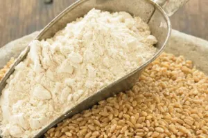 उचित निर्णय