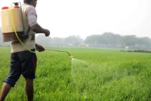 खेत में कीटनाशक दवा का छिड़काव करते दो किसानों की मौत, गांव में पसरा मातम