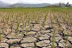 लोकसभा में उठी बिहार को सूखाग्रस्त घोषित करने की मांग