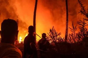 चीन में भीषण गर्मी से झाड़ियों में लगी आग, काबू पाने में लगे पांच हजार असैन्य और सैन्य कर्मी