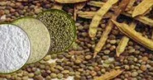 मजबूत मांग के कारण ग्वारगम वायदा कीमतों में तेजी