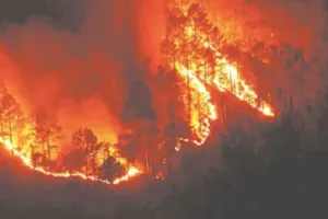 फ्रांस के बोर्डिओक्स के पास लगी भीषण आग, सात हजार हेक्टेयर से ज्यादा जंगल नष्ट