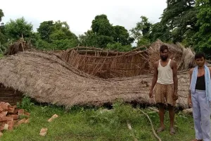 बहराइच: आंबा गांव में हाथी ने मचाया उत्पात, दो महिलाएं घायल, छह कुंतल अनाज व उड़द की फसल को पहुंचाया नुकसान