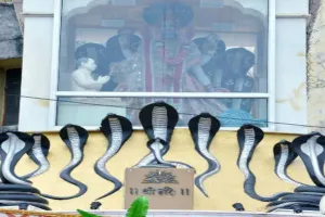 कानपुर: शिव योग में कल होगी नाग देवता की पूजा, विभिन्न अखाड़ों में होगा कुश्ती का आयोजन