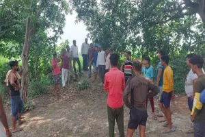 अयोध्या: दोबारा दिखा तेंदुआ, मचा हड़कंप, खाली हाथ है वन विभाग की टीम