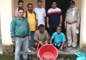 हल्द्वानी: कछुए बेचने आए ऊधम सिंह नगर के दो तस्कर गिरफ्तार, चार कछुए बरामद