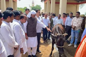 अमरोहा गोवंश मौत मामला : पशुधन मंत्री धर्मपाल सिंह ने लिया गोशाला का जायजा, कहा- जांच में दोषी पाए जाने पर होगी कार्रवाई